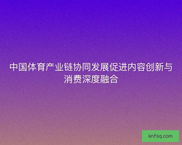中国体育产业链协同发展促进内容创新与消费深度融合